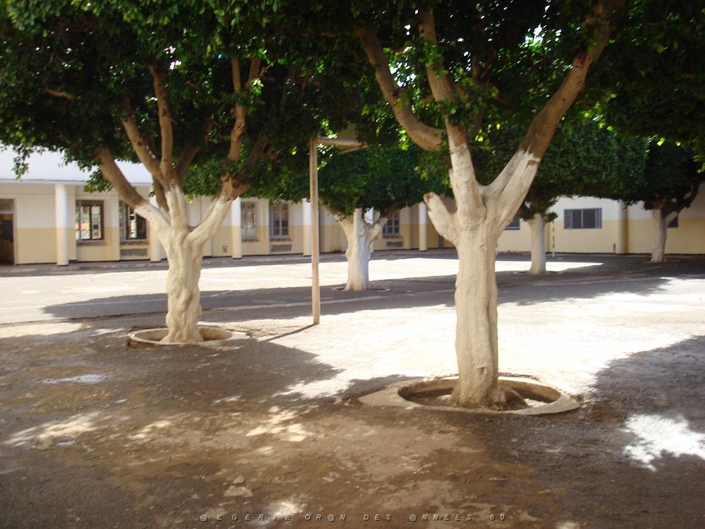 OCTOBRE 2007 AIN TEMOUCHENT ECOLE PIERRE COMBE LA COUR 042.jpg -                                